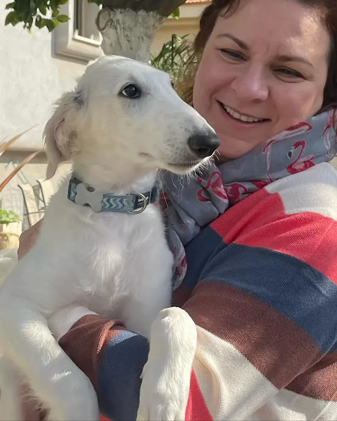 borzoi criadero españa